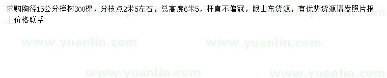 求購胸徑15公分櫸樹