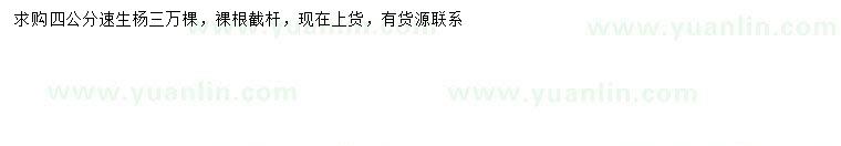 求購4公分速生楊