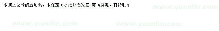 求購(gòu)12公分五角楓