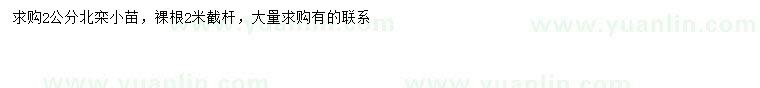 求購2公分北欒小苗
