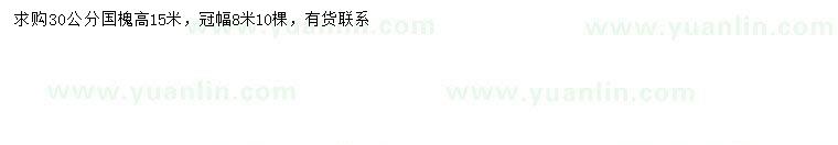 求購30公分國槐