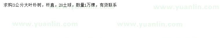 求購3公分大葉樸樹