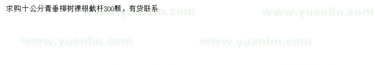 求購10公分青垂柳