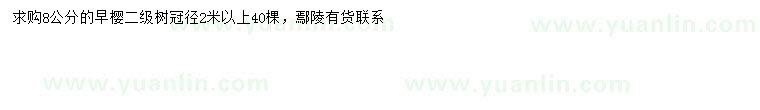 求購8公分早櫻