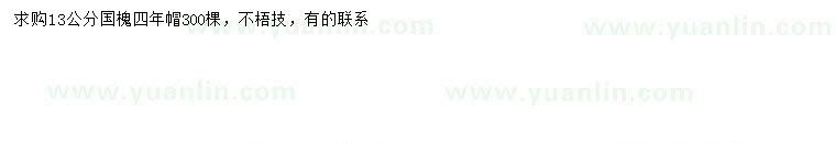求購13公分國槐