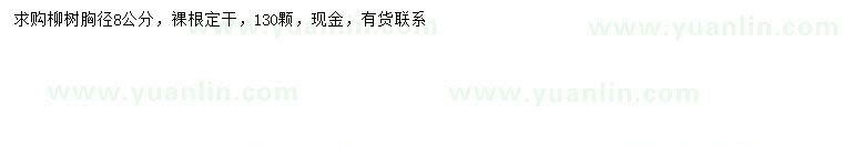 求購胸徑8公分柳樹