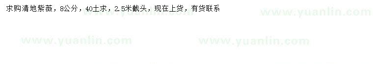 求購8公分紫薇