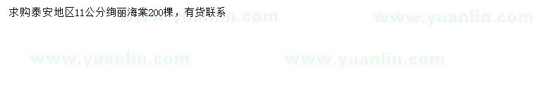 求購(gòu)11公分絢麗海棠