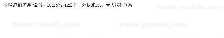 求購7、10、12公分絢麗海棠
