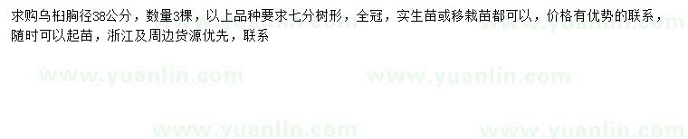 求購(gòu)胸徑38公分烏桕