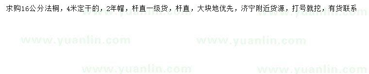 求購16公分法桐