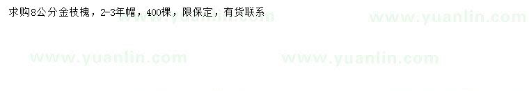 求購8公分金枝槐