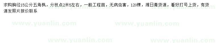 求購(gòu)胸徑15公分五角楓