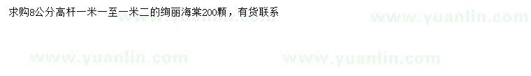 求購8公分高桿絢麗海棠