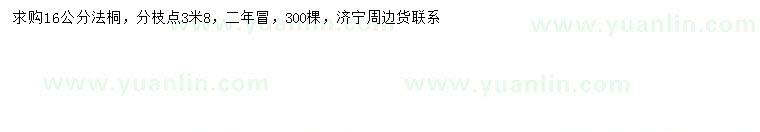 求購16公分法桐