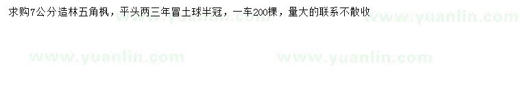 求購(gòu)7公分五角楓
