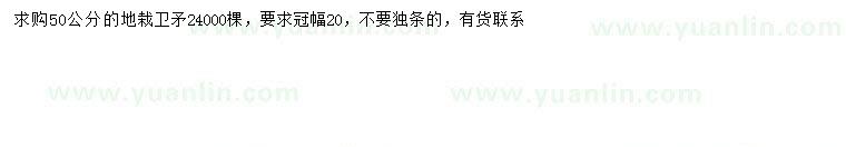 求購50公分衛(wèi)矛