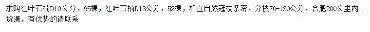 求購地徑10、13公分紅葉石楠