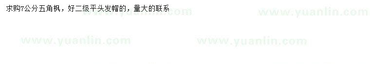 求購7公分五角楓