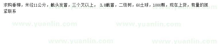 求購(gòu)米徑11公分垂柳