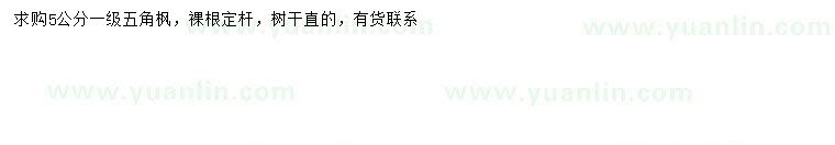 求購5公分五角楓