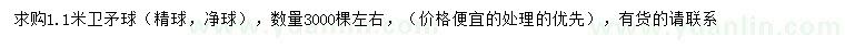 求購1.1米衛(wèi)矛球
