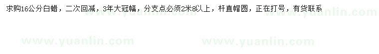 求購16公分白蠟