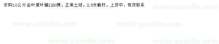求購10公分金葉復葉槭