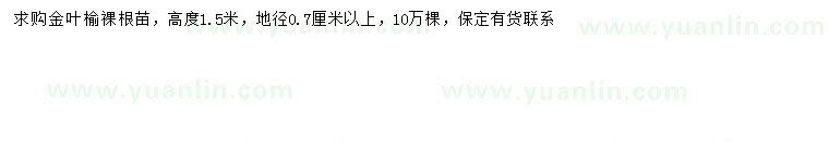 求購(gòu)地徑0.7公分以上金葉榆