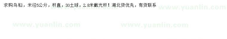 求購米徑5公分烏桕
