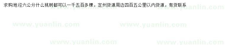 求購地徑6公分桃樹