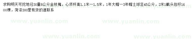 求購30量8公分金枝槐