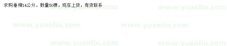 求購14公分垂柳