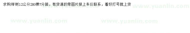求購12公分櫸樹