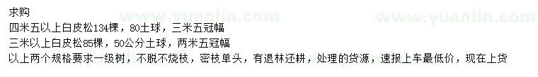 求購(gòu)3、4.5米以上白皮松