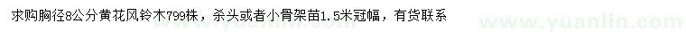求購胸徑8公分黃花風(fēng)鈴木