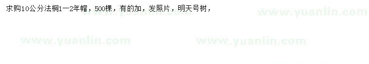 求購10公分法桐