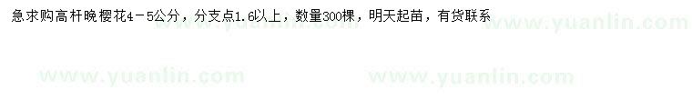求購4-5公分高桿晚櫻花
