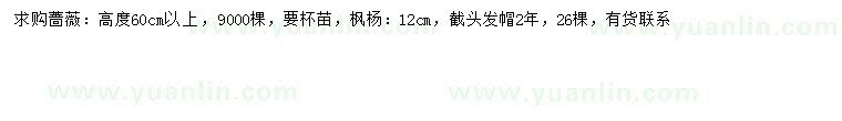 求購高60公分以上薔薇、12公分楓楊