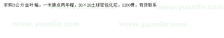 求購(gòu)3公分金葉榆