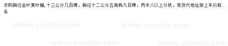 求購胸徑13公分金葉復(fù)葉槭,、胸徑12公分五角楓