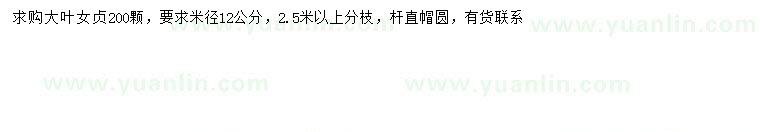 求購米徑12公分大葉女貞