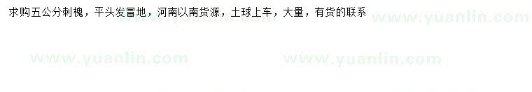 求購5公分刺槐