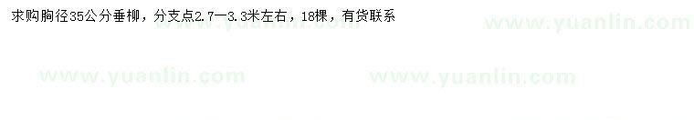 求購胸徑35公分垂柳