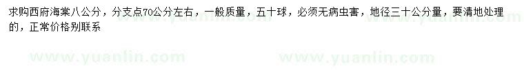 求購30量8公分西府海棠