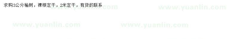 求購3公分榆樹