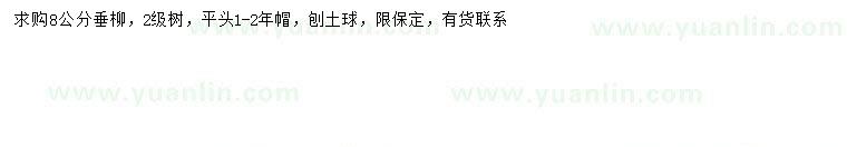 求購8公分垂柳