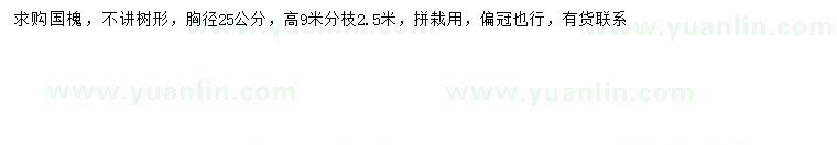 求購胸徑25公分國槐