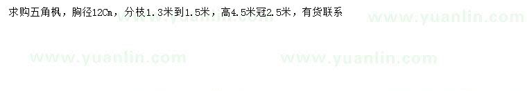 求購胸徑12公分五角楓