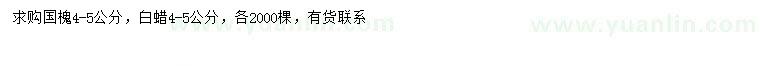 求購(gòu)4-5公分國(guó)槐、白蠟